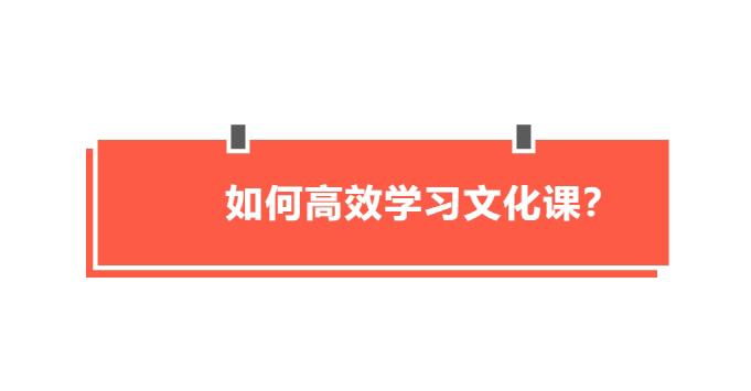 如何高效學(xué)習(xí)文化課？